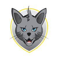 Radomlje Women badge
