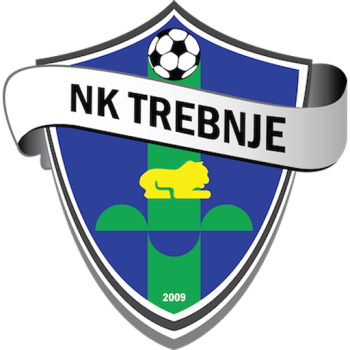 Team Badge