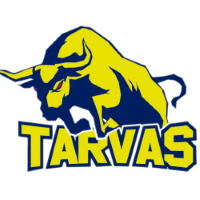 Former team badge icon