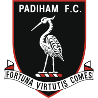 Former team badge icon