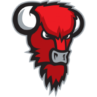 Former team badge icon