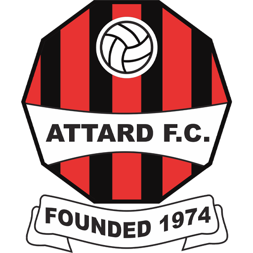 Team Badge icon