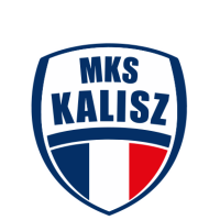 Former team badge icon