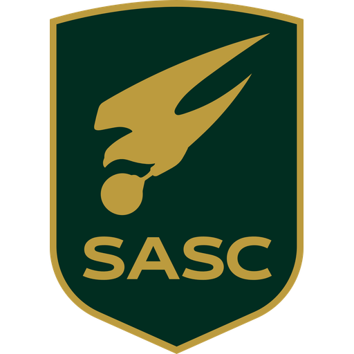 Team Badge icon