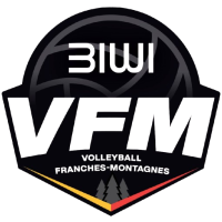 Former team badge icon