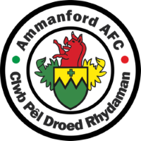 Team Badge