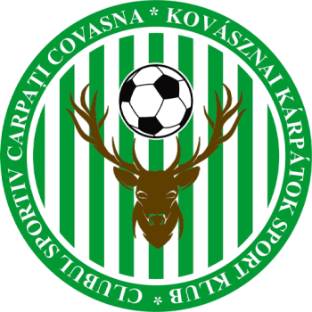 Team Badge