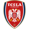 tiny home badge icon