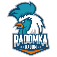 Former team badge icon