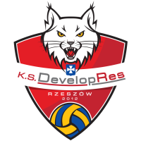 Former team badge icon