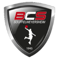 Former team badge icon