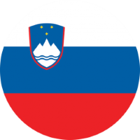 Former team badge icon