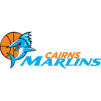 Former team badge icon