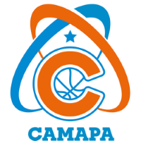 Former team badge icon