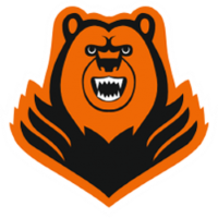 Former team badge icon