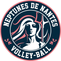 Former team badge icon