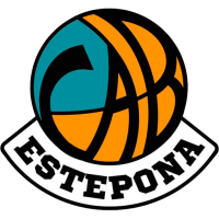 Team Badge