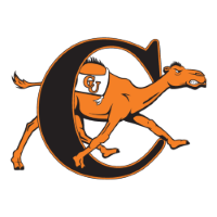 Former Manager Team Icon