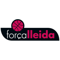 Former team badge icon