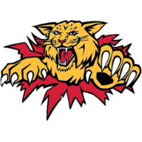 Former team badge icon