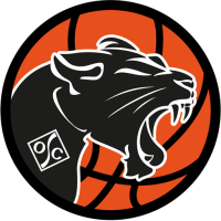 Former team badge icon