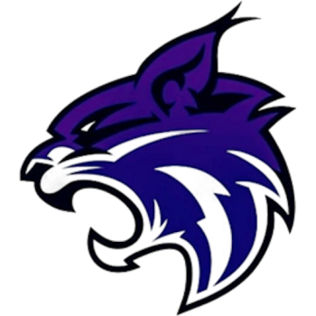 Team Badge