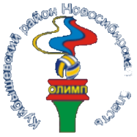 Former team badge icon