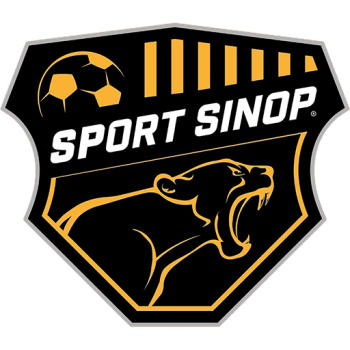 Team Badge