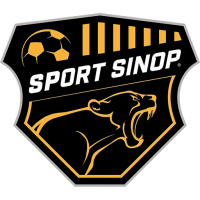 Team Badge