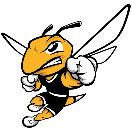 Team Badge icon