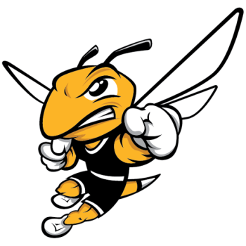 Team Badge