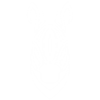 Zebre