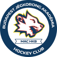 Former team badge icon