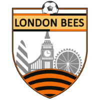 Former team badge icon