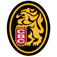 Former team badge icon