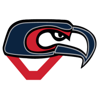 Former team badge icon