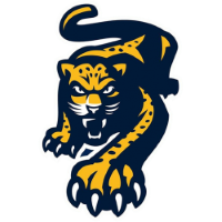 Former team badge icon