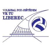 Former team badge icon