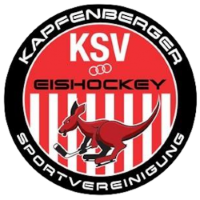 Former team badge icon