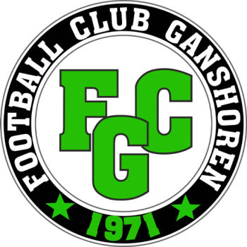 Team Badge