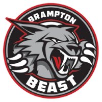 Former team badge icon