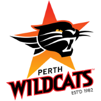 Former team badge icon