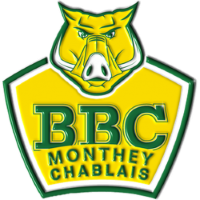 Former team badge icon