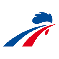 Former team badge icon