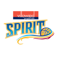 Former team badge icon