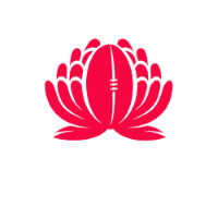 New South Wales Waratahs