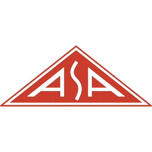 Team Badge icon