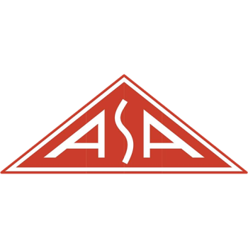 Team Badge