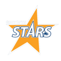 Former team badge icon