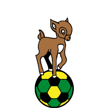 home team badge